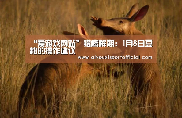 爱游戏中国官网