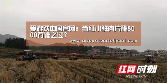 爱游戏中国官网:当红小鲜肉片酬8000万谁之过?(图3) 爱游戏中国官网