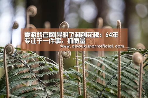爱游戏官网